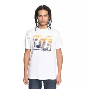 Футболка мужская DC SHOES Empire Henge Ss M Snow White