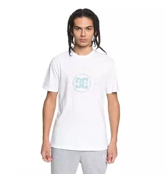 Футболка мужская DC SHOES Endless Frontie M Snow White