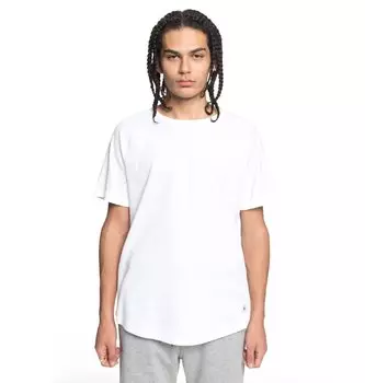 Футболка мужская DC SHOES Renfrew Ss M Snow White