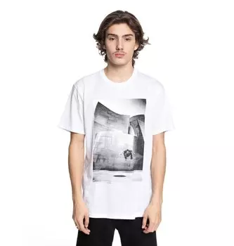Футболка мужская DC SHOES Tiago Switch Fl M Snow White
