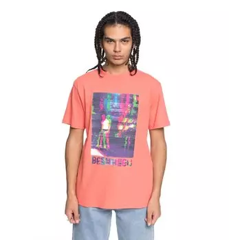 Футболка мужская DC SHOES Vaporz Ss M Porcelain Rose