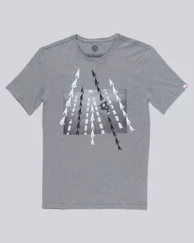 Футболка мужская ELEMENT Nassim Ss Grey Heather
