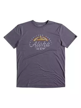 Футболка мужская QUIKSILVER Htrkingst M Cadet Heather