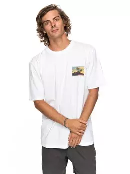 Футболка мужская QUIKSILVER Larhuness M White