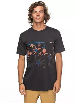 Футболка мужская QUIKSILVER Stackfordays M Tarmac