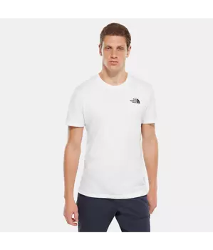 Футболка мужская THE NORTH FACE M Ss Simple Dome Tee