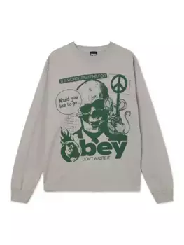 Футболка OBEY Obey Don'T Waste It FW25 Silver Grey