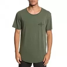 Футболка QUIKSILVER Diamondtailsss M Tees Garden Topiary