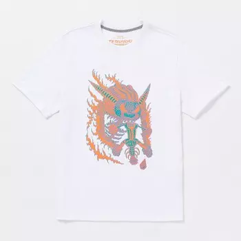 Футболка VOLCOM Fa Tetsunori 1 Sst White