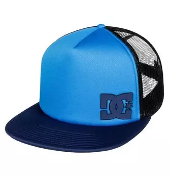 Кепка-бейсболка мужская DC SHOES Madglads Campunula