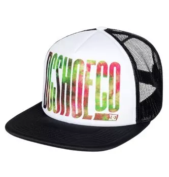 Кепка-бейсболка мужская DC SHOES Trippy Trucker Black