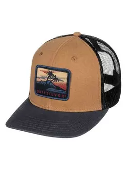 Кепка-бейсболка мужская QUIKSILVER Blocked Out Wood Thrush