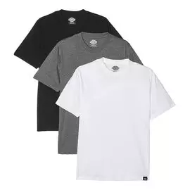 Комплект из 3 футболок DICKIES Dickies Tsht Pk Assorted Colour 2021