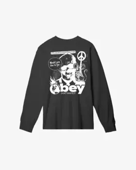 Лонгслив OBEY Obey Don'T Waste It FW25 Vintage Black