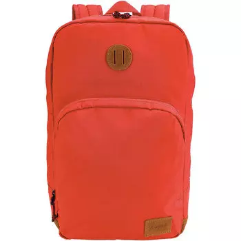 Рюкзак NIXON Range Backpack A/S Lobster