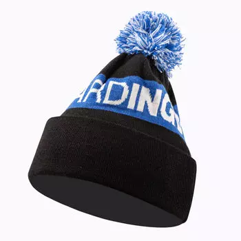 Шапка DC SHOES Chester Beanie Black 2022