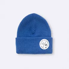 Шапка RIDESTEP x PUNKFICTION Синий