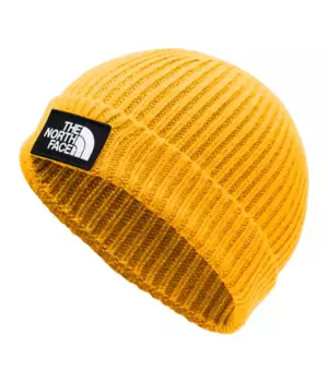 Шапка THE NORTH FACE Tnf Logo Box Cuf Bne Tnf Yellow 2020