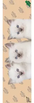 Шкурка для скейтборда MOB Krux Kitties Clear