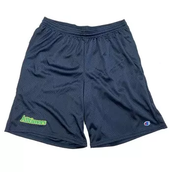 Шорты ALLTIMERS Broadway Embroidered Short Black 2021