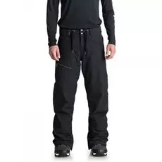 Штаны для сноуборда мужские QUIKSILVER Forest Oak Pt M Black