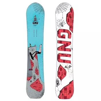 Сноуборд мужской GNU MONEY C2E