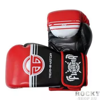 Боксерские перчатки Terminator 2.0 Red, 10 OZ