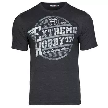 Футболка wings (серый) Extreme Hobby