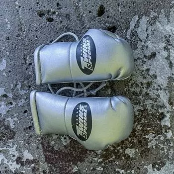 Перчатки боксерские сувенирные Twins Silver