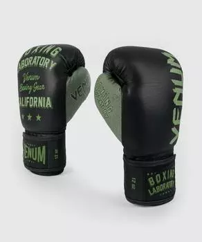 Перчатки боксерские Venum California Boxing Lab, 14 унций Venum