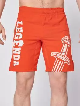 Шорты спортивные тренировочные Меч красный