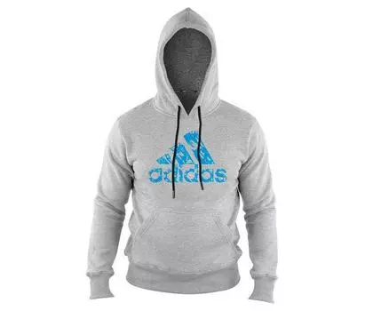 Толстовка с капюшоном (Худи) детская Graphic Hoody Kids серо-синяя Adidas