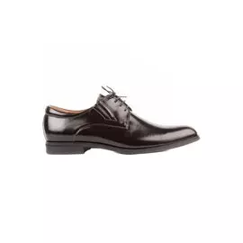 Дерби SALAMANDER