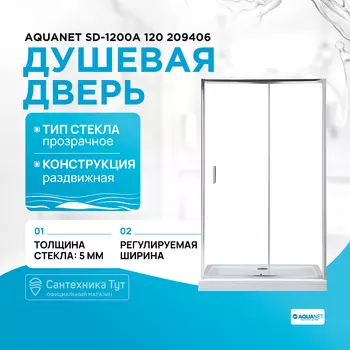 Душевая дверь Aquanet