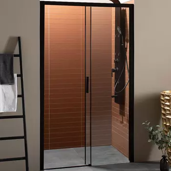 Душевая дверь Aquanet