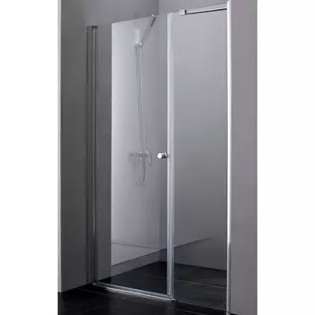 Душевая дверь Cezares