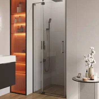 Душевая дверь Cezares