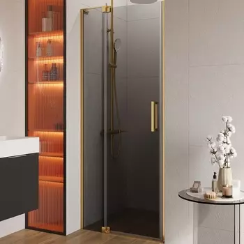 Душевая дверь Cezares