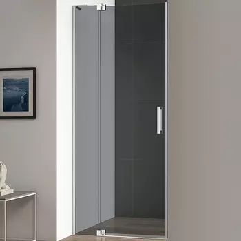 Душевая дверь Cezares