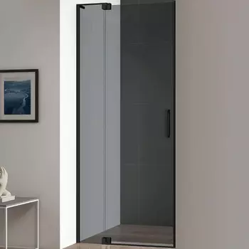 Душевая дверь Cezares