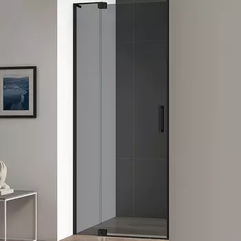 Душевая дверь Cezares