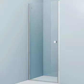 Душевая дверь Iddis