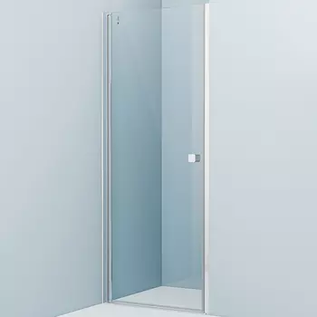 Душевая дверь Iddis