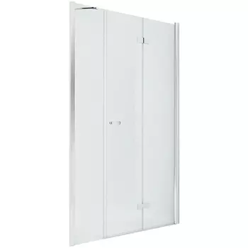 Душевая дверь New Trendy