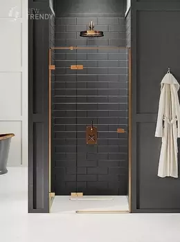 Душевая дверь New Trendy