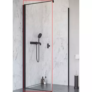 Душевая дверь Radaway