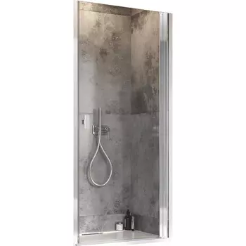 Душевая дверь Radaway