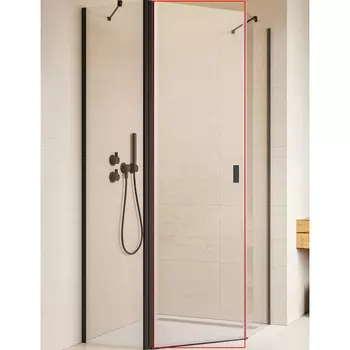 Душевая дверь Radaway