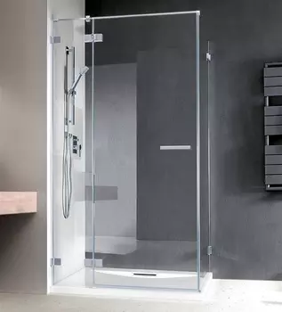 Душевая дверь Radaway