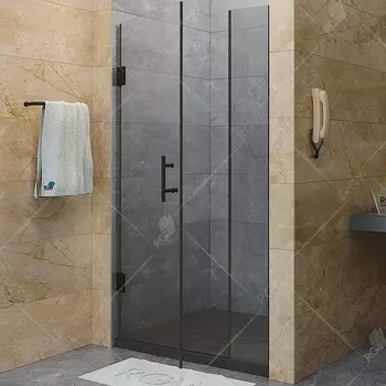 Душевая дверь RGW